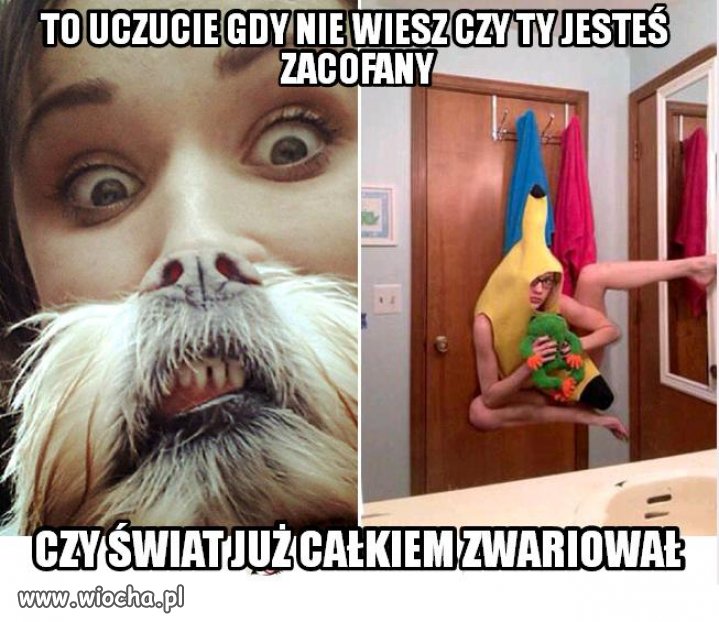 Im głupiej, tym lepiej?