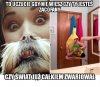 Im głupiej, tym lepiej?