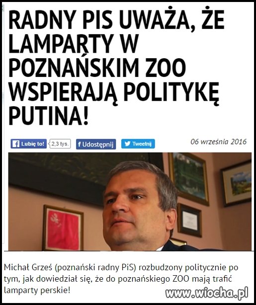 Były osiołki