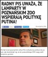 Były osiołki