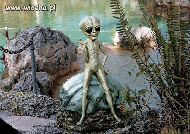W Roswell była katastrofa-
