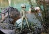 W Roswell była katastrofa-