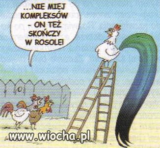 Jakaś analogia