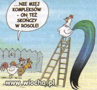 Jakaś analogia