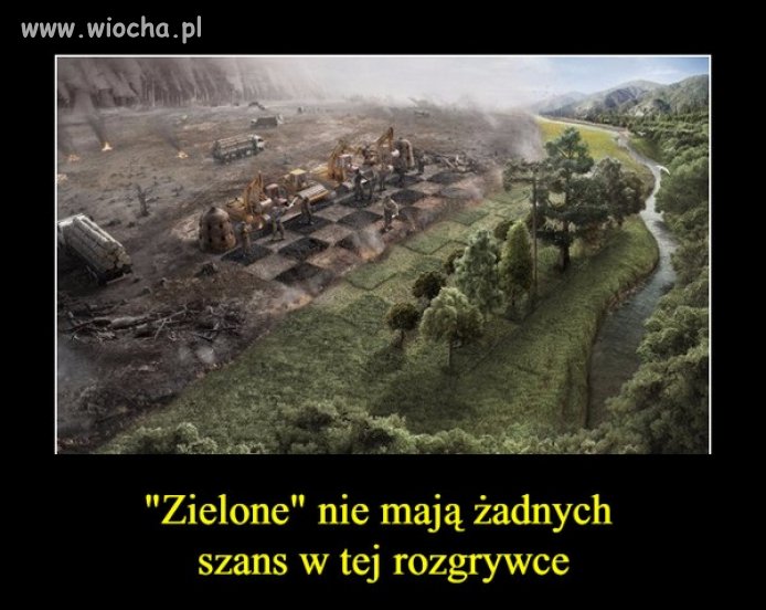 Niestety