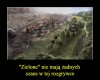 Niestety
