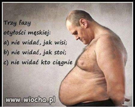 Którą fazę masz 