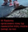 Trochę śmiechu 