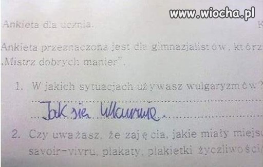 Ankieta