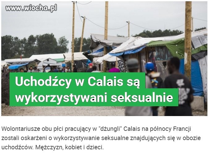 Czyli w Kolonii to napalone niemki molestowaly...