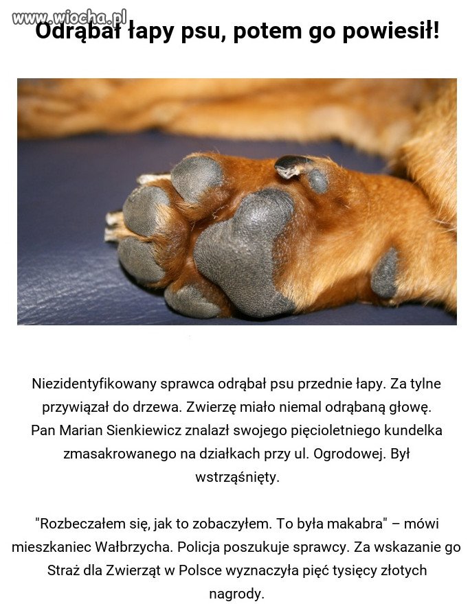 Bez komentarza