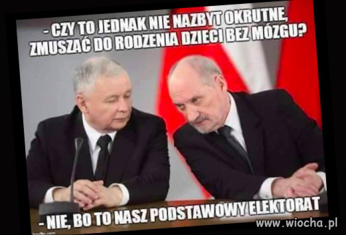 Pis sobie sam strzeli