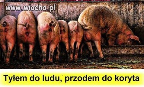 Dobra zniana