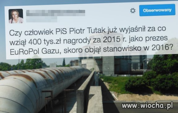 Wygląda na to,że PO to przy pisie