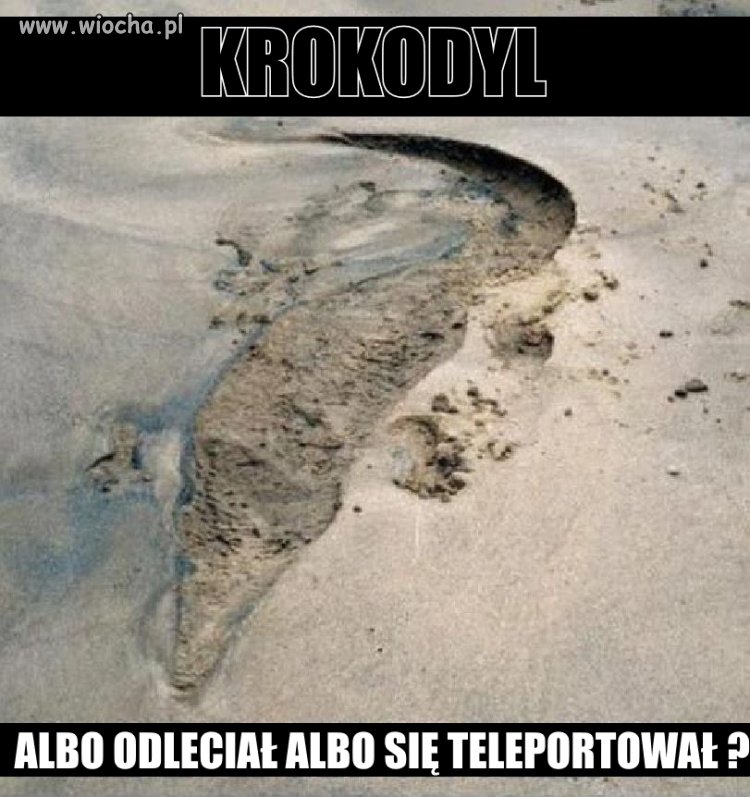 Zniknął ...