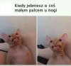 Też tak 