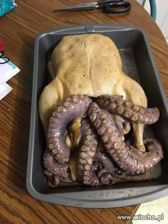 Kraken