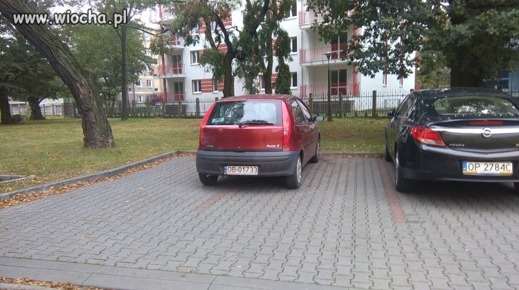 Mistrz