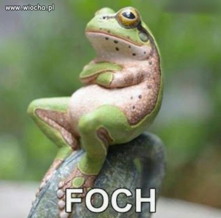 Foch