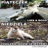 Ile razy tak było panowie?
