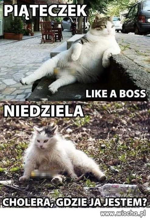 Ile razy tak było panowie?