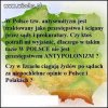 Innym wyznaniom wszystko wolno