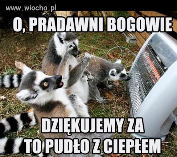 Ciepło
