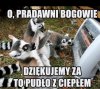 Ciepło