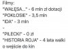 Wszystko w temacie