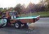 Auto bilard