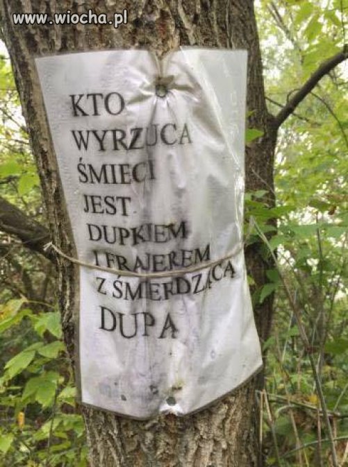 Kto wyrzuca śmieci w lesie