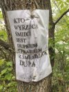 Kto wyrzuca śmieci w lesie