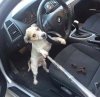 BMW z dodatkowym wyposażeniem 