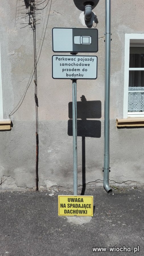 W mieście Kargula i Pawlaka