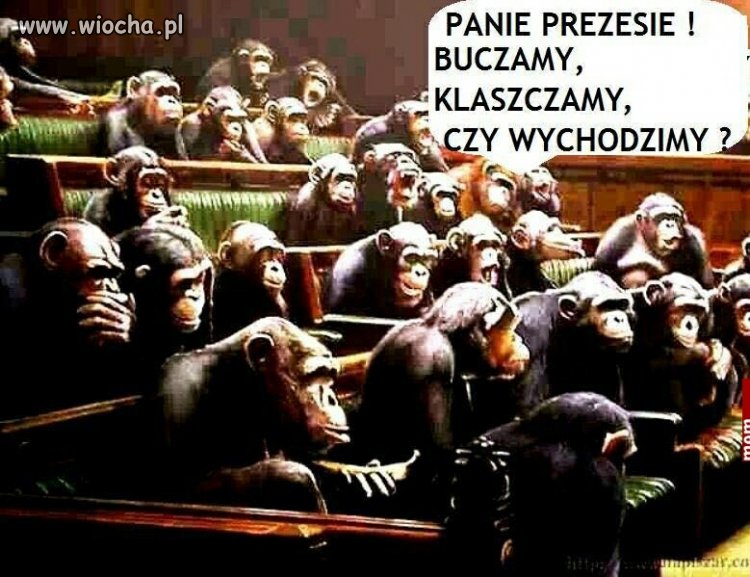 Premiera filmu  smoleńsk 