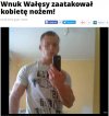 Niedaleko pada jabłko od jabłoni.