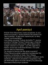 Wreszcie słuszny apel