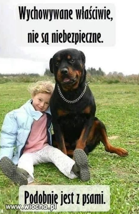 No właśnie