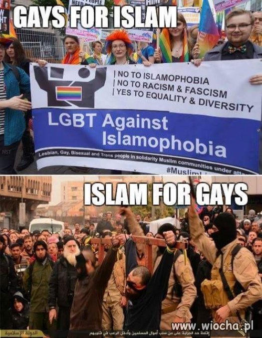Logika LGBT do islamu