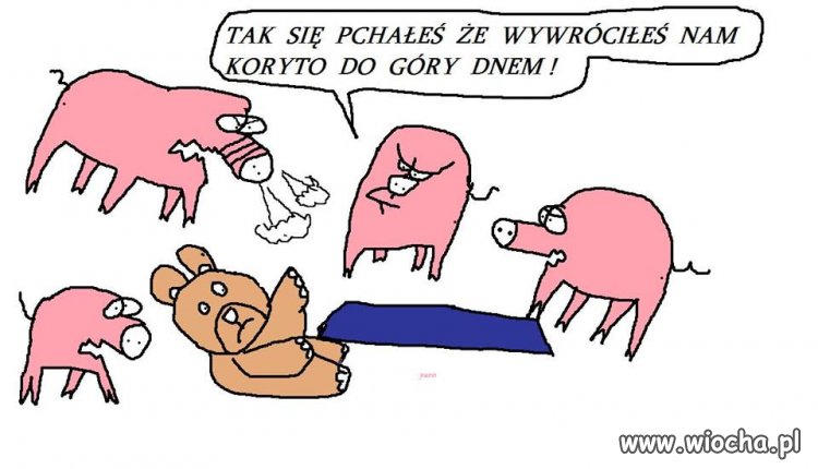 Oj misiu, misiu coś ty narobił