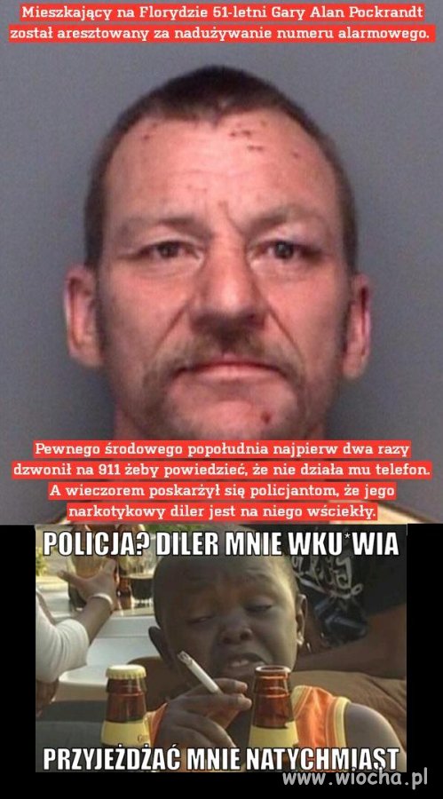 Ta Ameryka, tam głupota powinna być