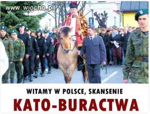 Husarz.