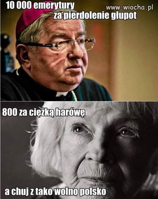 Bo są równi i równiejsi