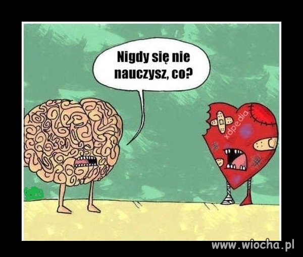 Serce i umysł, dwa różne światy