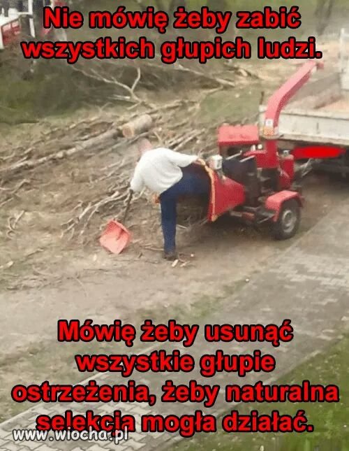 Bo szef tak kazał 