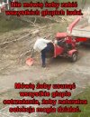Bo szef tak kazał 