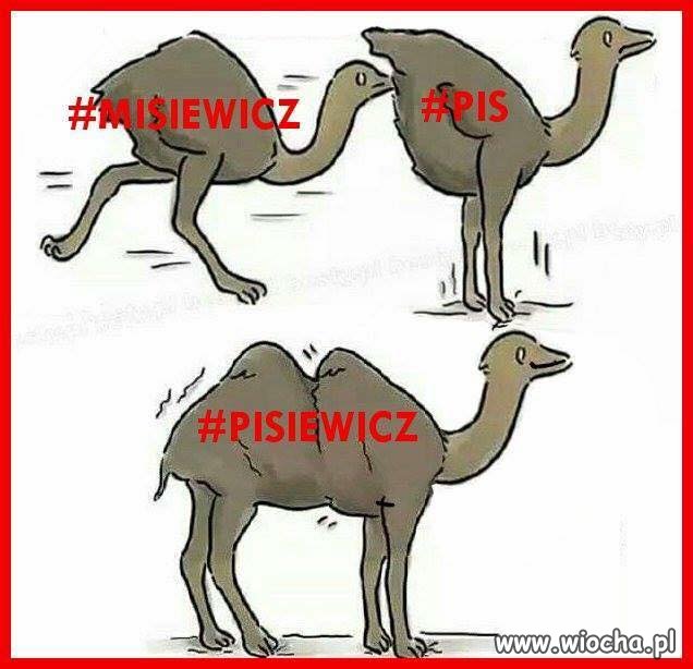 Jarek to lubi ... i to podstawa działalności PiS