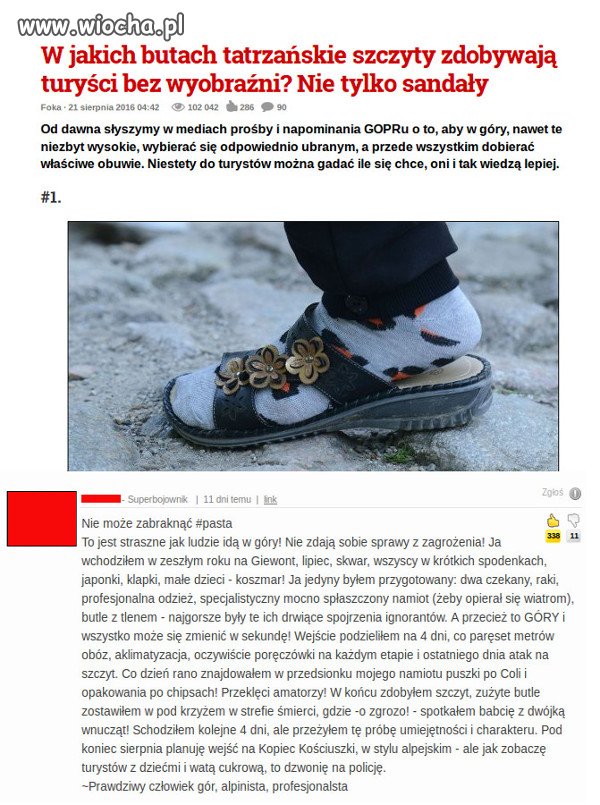 Amatorzy vs. profesjonalista