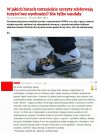Amatorzy vs. profesjonalista