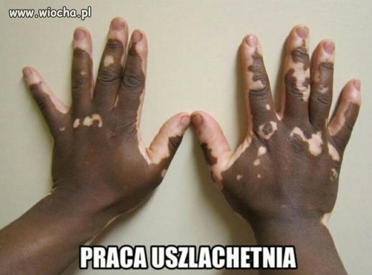 Ma ktoś jeszcze wątpliwości?